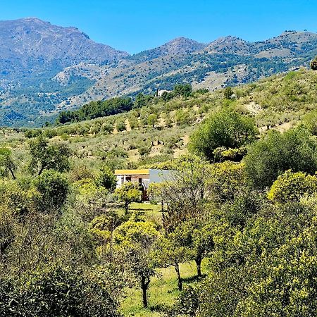 Finca Martina Casarabonela Zewnętrze zdjęcie