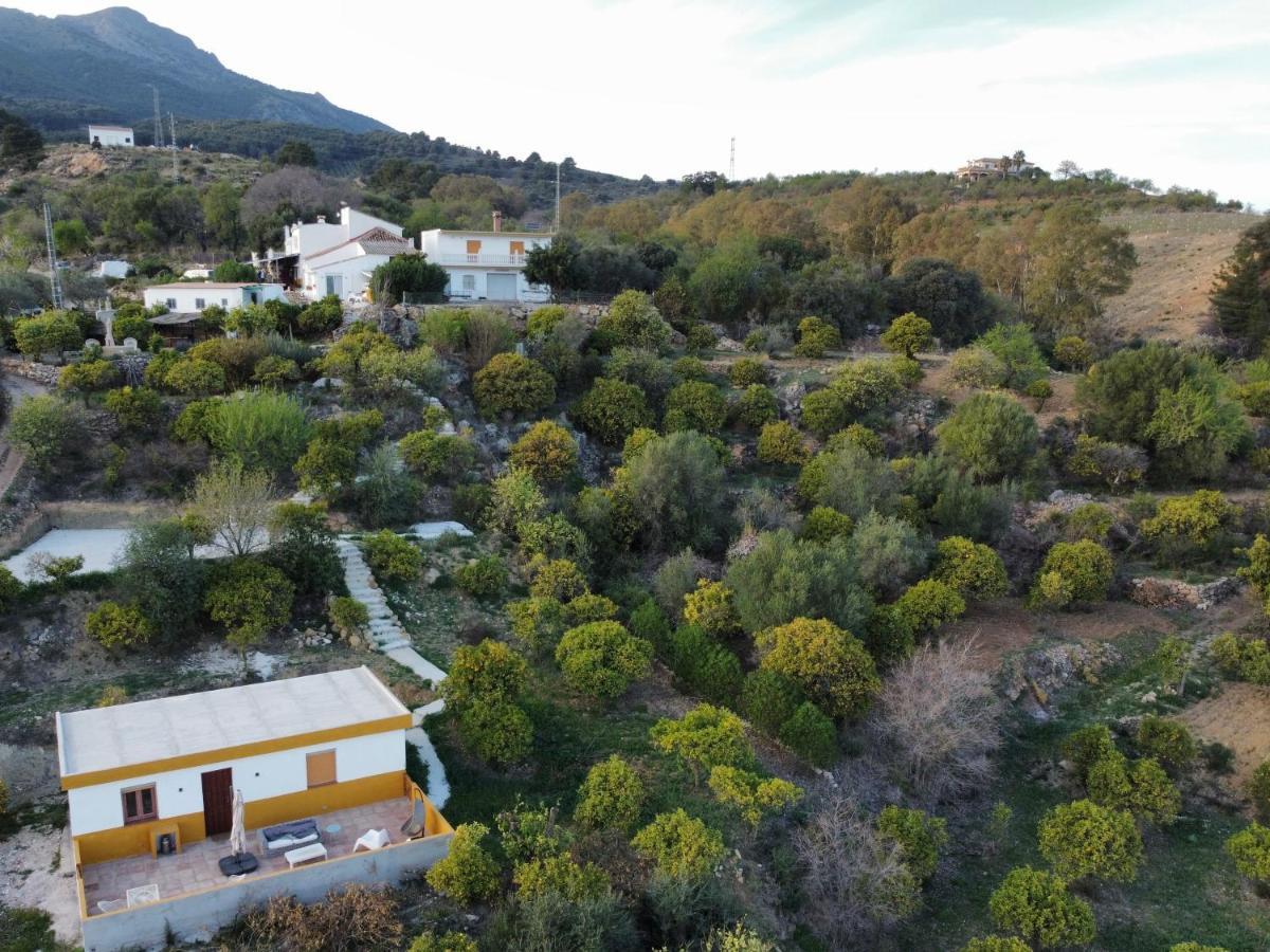 Apartament Finca Martina Casarabonela Zewnętrze zdjęcie
