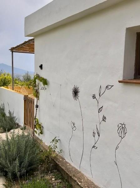 Apartament Finca Martina Casarabonela Zewnętrze zdjęcie