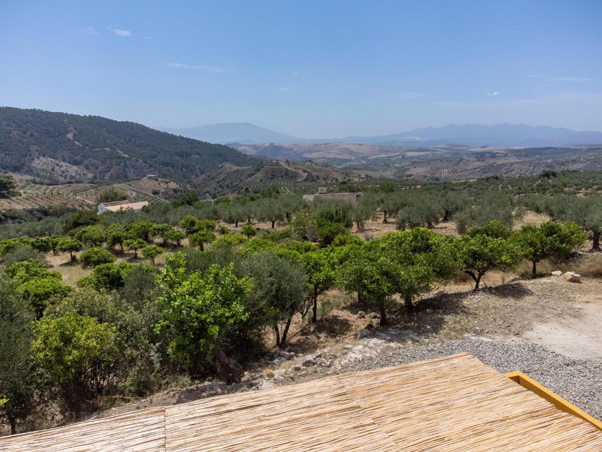 Finca Martina Casarabonela Zewnętrze zdjęcie